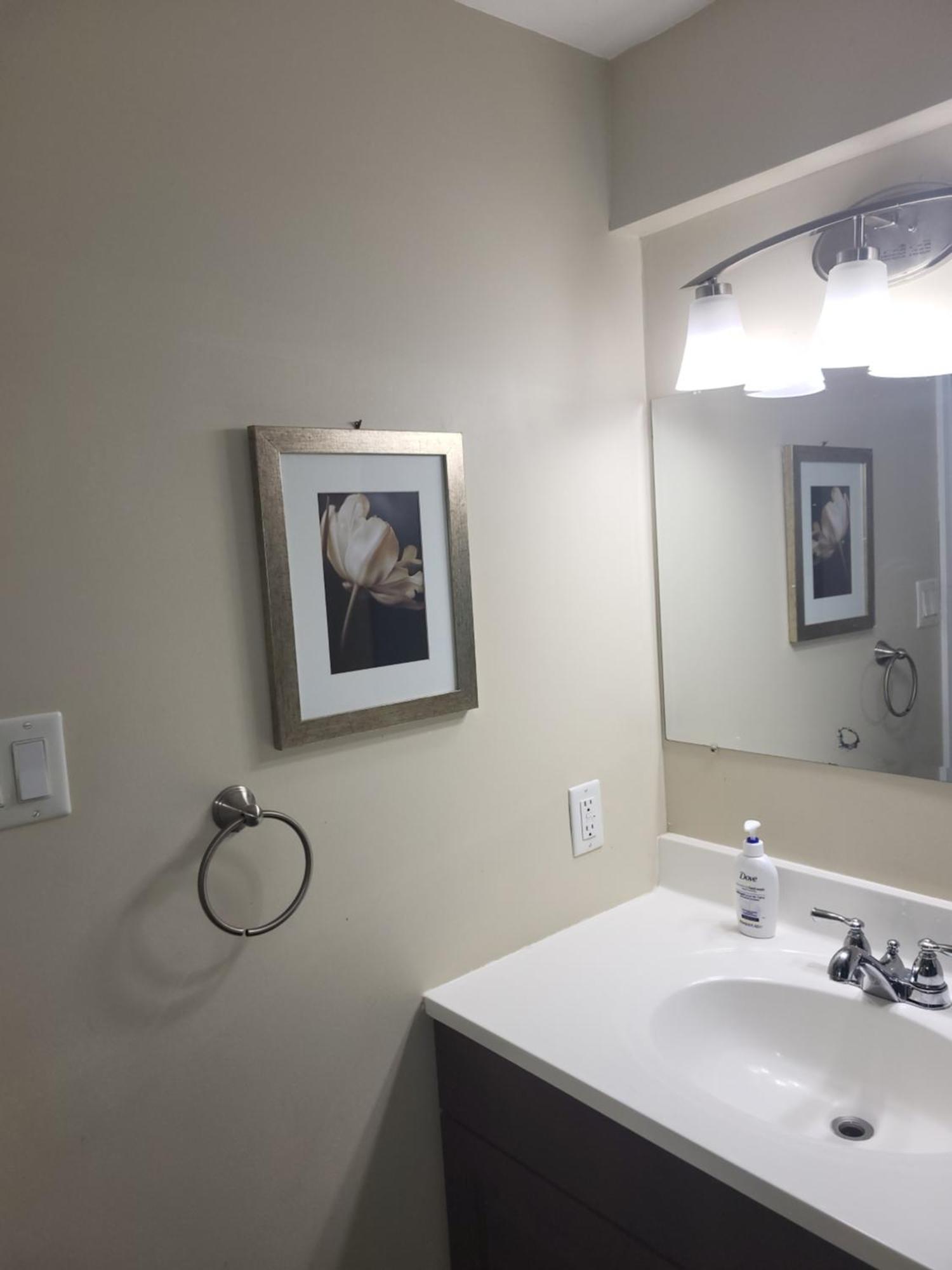 Lovely Guest Entire Apartment Minutes From Ottawa Airport المظهر الخارجي الصورة